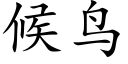 候鸟 (楷体矢量字库)