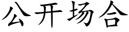 公開場合 (楷體矢量字庫)