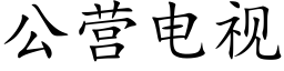 公营电视 (楷体矢量字库)