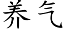 养气 (楷体矢量字库)