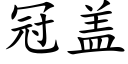 冠蓋 (楷體矢量字庫)