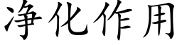 淨化作用 (楷體矢量字庫)