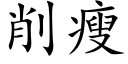 削瘦 (楷体矢量字库)