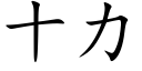 十力 (楷體矢量字庫)