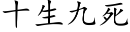 十生九死 (楷体矢量字库)