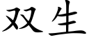 双生 (楷体矢量字库)