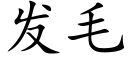 發毛 (楷體矢量字庫)