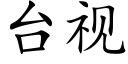 台视 (楷体矢量字库)