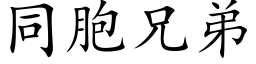 同胞兄弟 (楷體矢量字庫)