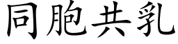 同胞共乳 (楷體矢量字庫)