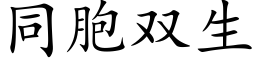 同胞雙生 (楷體矢量字庫)