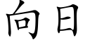 向日 (楷體矢量字庫)