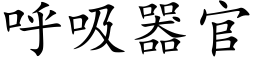 呼吸器官 (楷体矢量字库)