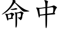 命中 (楷体矢量字库)