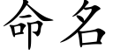 命名 (楷体矢量字库)