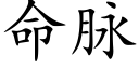 命脈 (楷體矢量字庫)