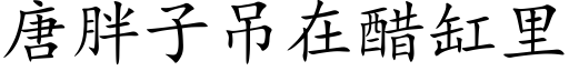 唐胖子吊在醋缸里 (楷体矢量字库)