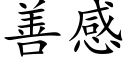 善感 (楷体矢量字库)