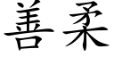 善柔 (楷體矢量字庫)