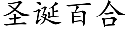 聖誕百合 (楷體矢量字庫)