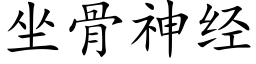 坐骨神經 (楷體矢量字庫)