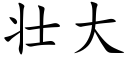 壯大 (楷體矢量字庫)