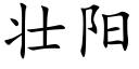 壮阳 (楷体矢量字库)