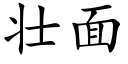 壮面 (楷体矢量字库)