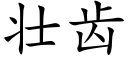 壮齿 (楷体矢量字库)