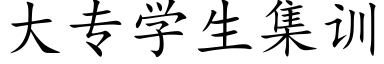 大专学生集训 (楷体矢量字库)