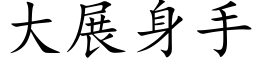 大展身手 (楷体矢量字库)