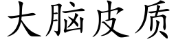 大脑皮质 (楷体矢量字库)