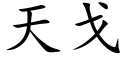 天戈 (楷體矢量字庫)