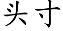 頭寸 (楷體矢量字庫)