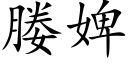 媵婢 (楷体矢量字库)