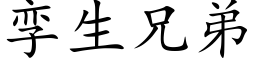 孪生兄弟 (楷体矢量字库)