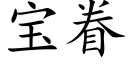 宝眷 (楷体矢量字库)