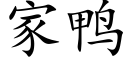 家鸭 (楷体矢量字库)