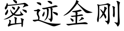 密迹金剛 (楷體矢量字庫)