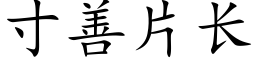 寸善片长 (楷体矢量字库)