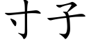 寸子 (楷體矢量字庫)