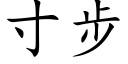 寸步 (楷體矢量字庫)