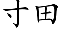 寸田 (楷體矢量字庫)