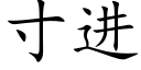 寸進 (楷體矢量字庫)