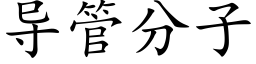 导管分子 (楷体矢量字库)