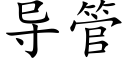 導管 (楷體矢量字庫)