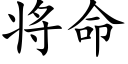 将命 (楷体矢量字库)