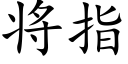 将指 (楷体矢量字库)