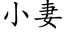 小妻 (楷体矢量字库)