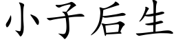 小子后生 (楷体矢量字库)